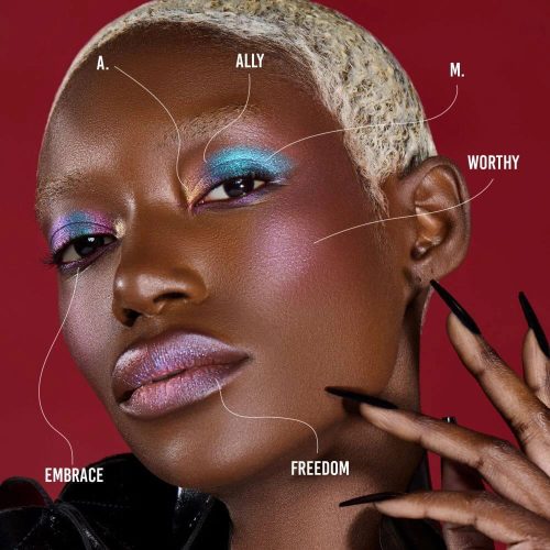 Danessa Myricks Beauty Love is Love Palette - smink paletta szemre és arcra